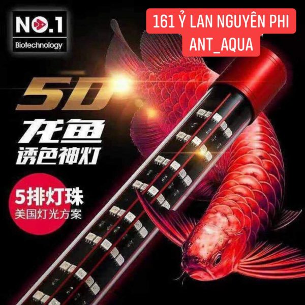 Led Tanning No.1 dành cho Huyết Long