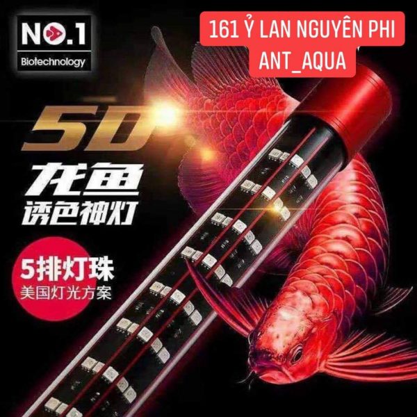 Led No.1 dành cho Huyết Long