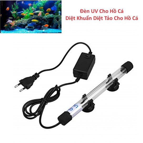 Đèn UV Diệt Khuẩn - Tảo Xanh Nước