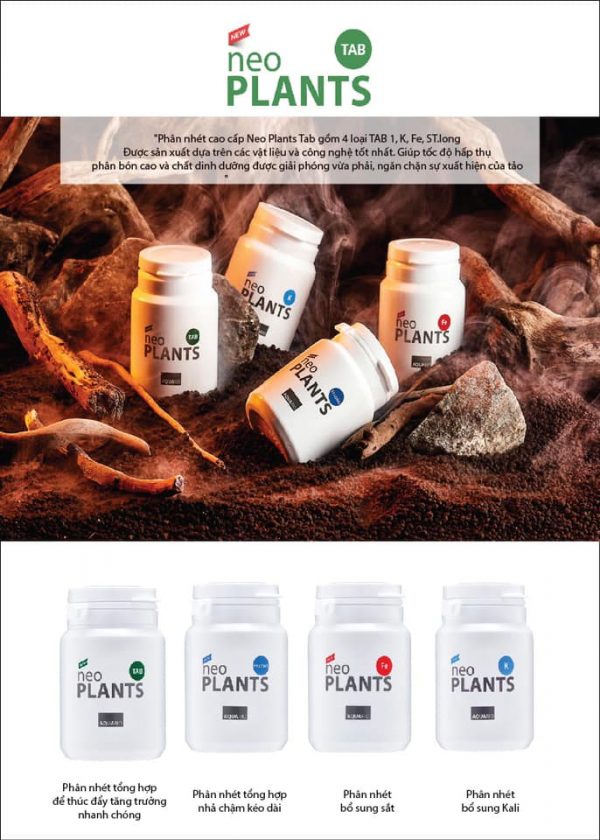 Phân Nhét Neo - Hàn Quốc