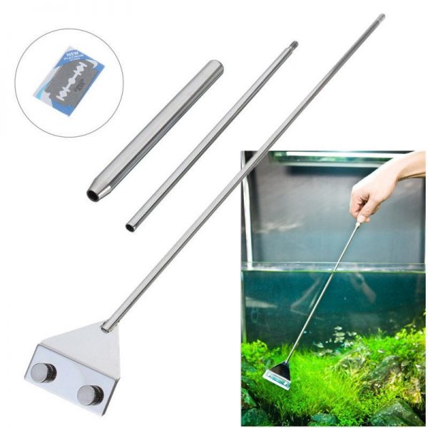 Dạo Cạo Rêu Thành Kính - 3 Khúc