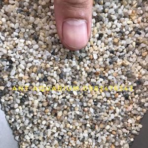 Sỏi 3 Màu