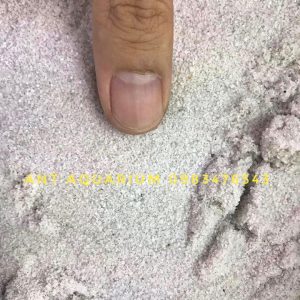 Cát Trắng