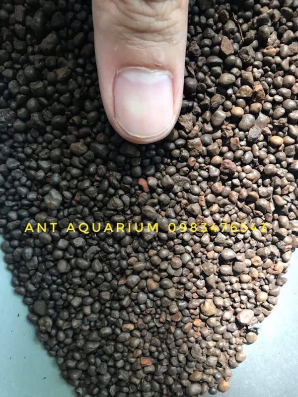 Sỏi Suối Nâu
