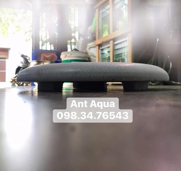 Đá Đậy Lỗ Hút Đáy Hồ Koi