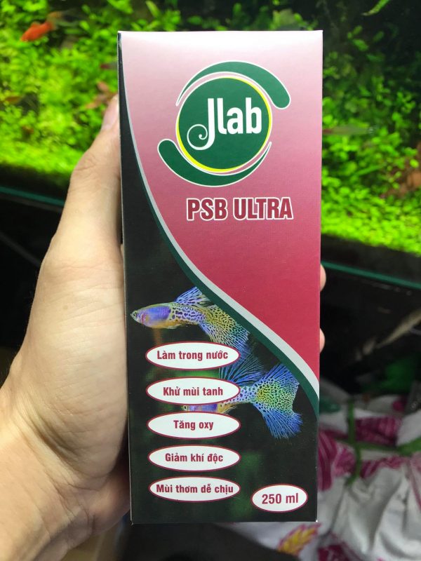 Vi Sinh JLAB