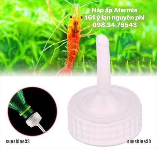 Nắp Ấp Artemia