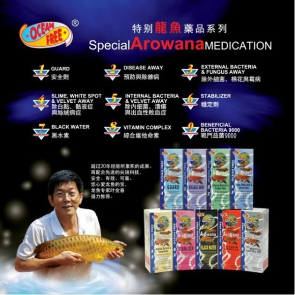 Bộ Thuốc Cá Rồng QianHu - Singapo