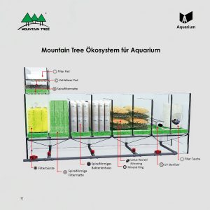 Sứ lọc củ sen - moutain tree thế hệ 2
