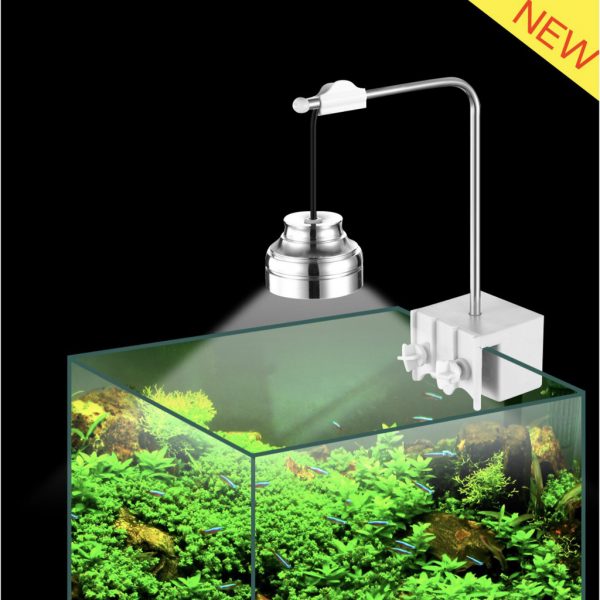 Đèn Led Xima 3W