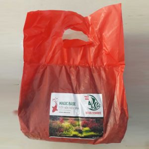 Cốt nền Magic Base