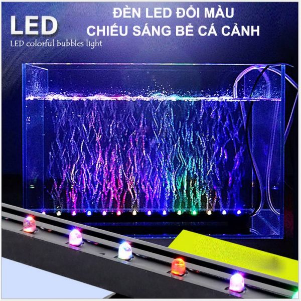 Đèn Đổi Màu Trang Trí Hồ Cá - 3 chế độ