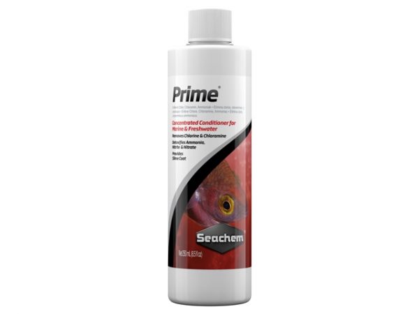 Seachem Prime - Dung Dịch Khử Độc Hồ Cá