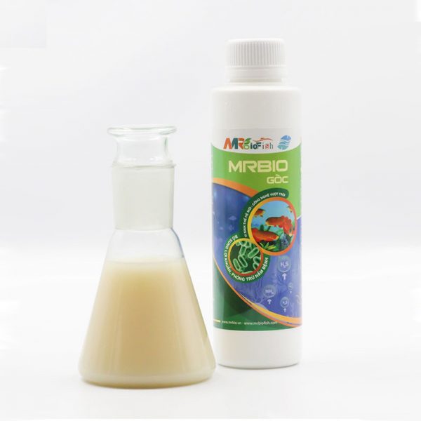 Vi Sinh Gốc - Mr Bio