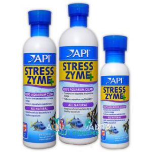 Vi Sinh Sống - API StressZyme