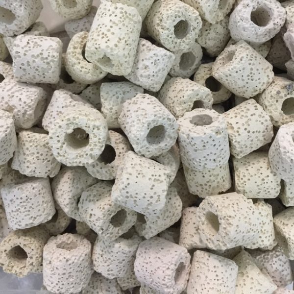 Sứ Lọc Bio Ring - Trắng Ngà