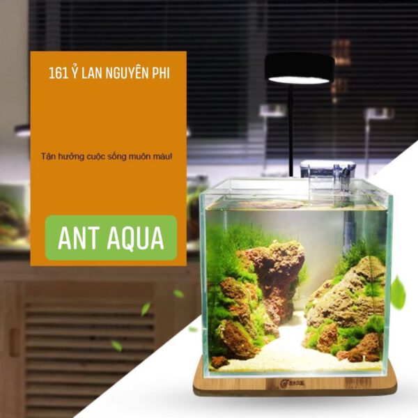 ĐÈN LED KỆ GỖ BAMBO CHO HỒ BÁN CẠN, THỦY SINH, TERRARIUM