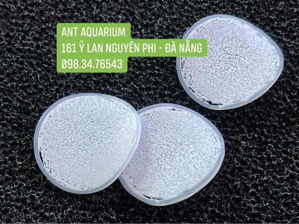 Giá Thể Bio Chip (việt nam)