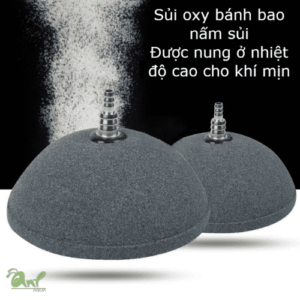 Máy sủi khí bán nguyệt KS-QA100 QA200