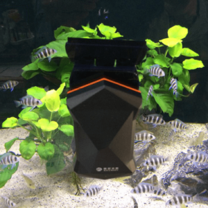 Nam châm cọ bể keyrsin