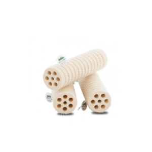 Sứ lọc củ sen - moutain tree thế hệ I