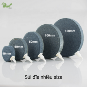 Sủi đĩa nhiều size từ 40mm-120mm cho hồ cá bể cá