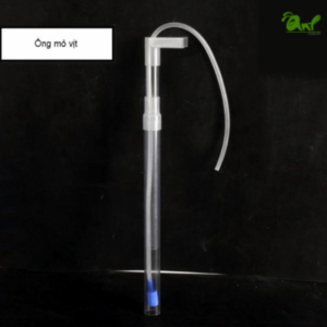 Bô sủi đáy Đài Loan