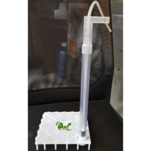 Bô sủi đáy Đài Loan