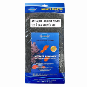 Bông lọc cao cấp Odyssea