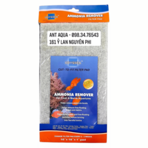 Bông lọc cao cấp Odyssea