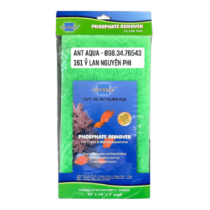 Bông lọc cao cấp Odyssea