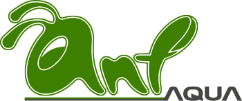Phụ Kiện Thủy Sinh – Cá Cảnh